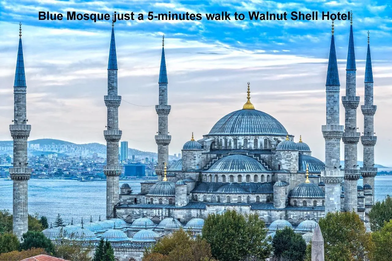 Walnut Shell Hotel İstanbul